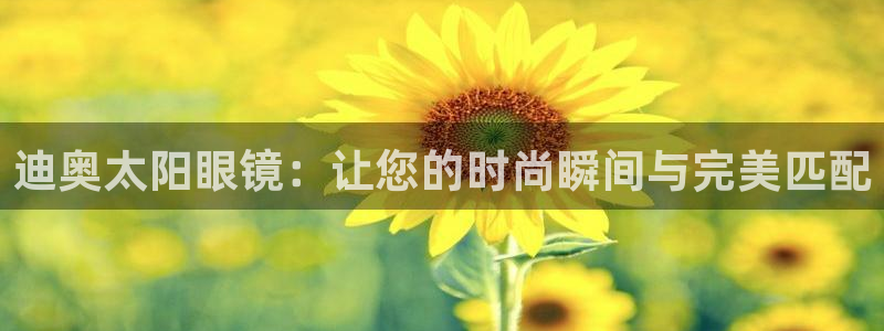 新宝5娱乐登录