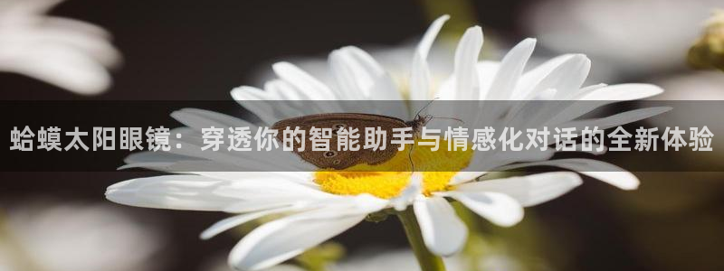 新宝5日