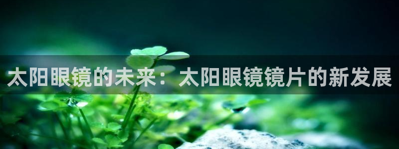 新宝股东张听2 5 5