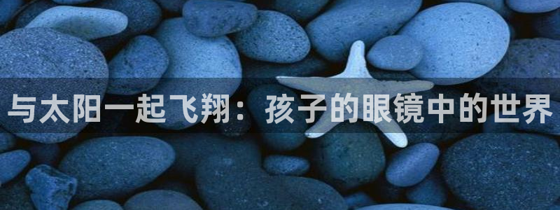 新宝5新宝6顺达