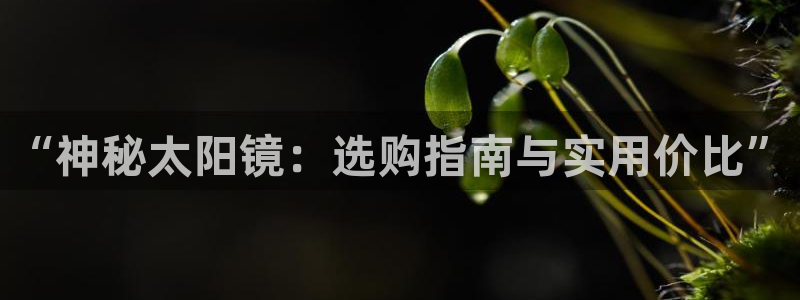 新宝5登陆地址