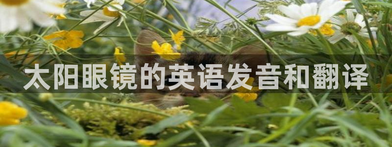 新宝5彩票平台登陆