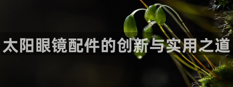 新宝股东王听2 5 5