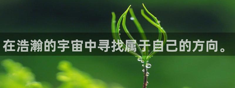 新宝5app手机下载