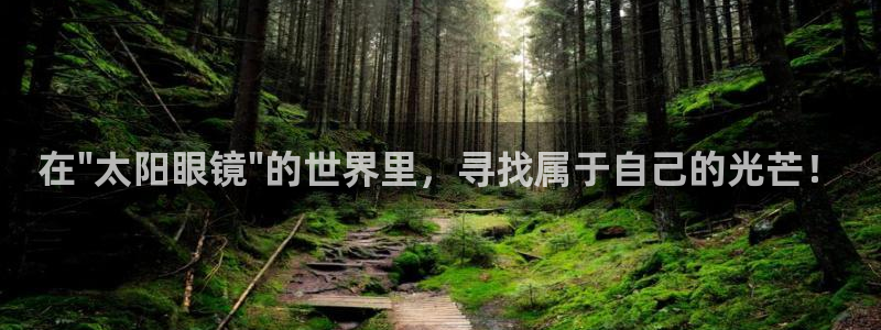 新宝5官网67五壹叁八