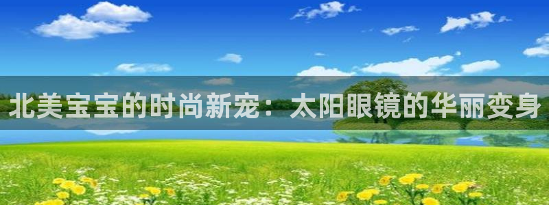 新宝5怎么下载到桌面
