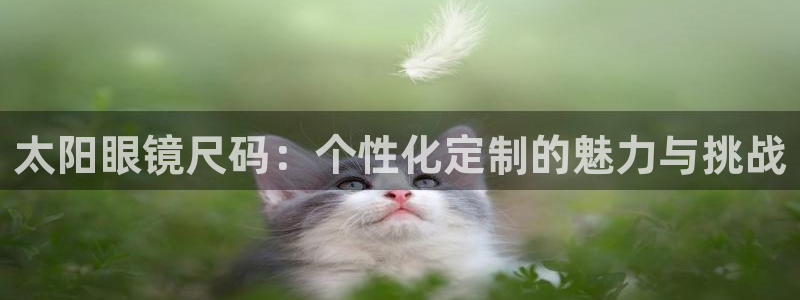 菲律宾新宝5老板